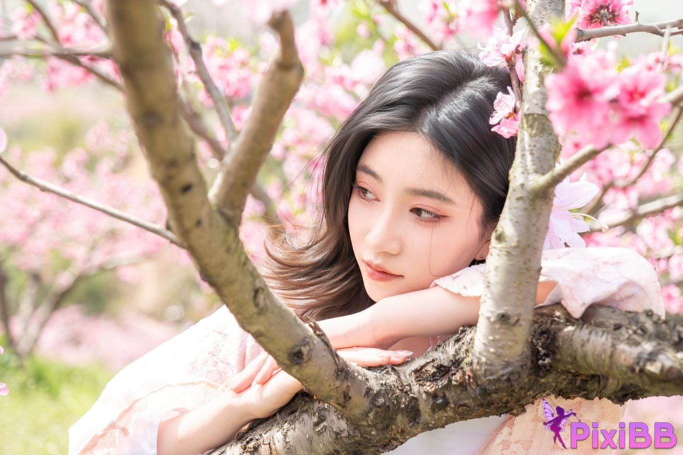 Cosplayer every year Nnian Manka PixiBB.COM 014 1