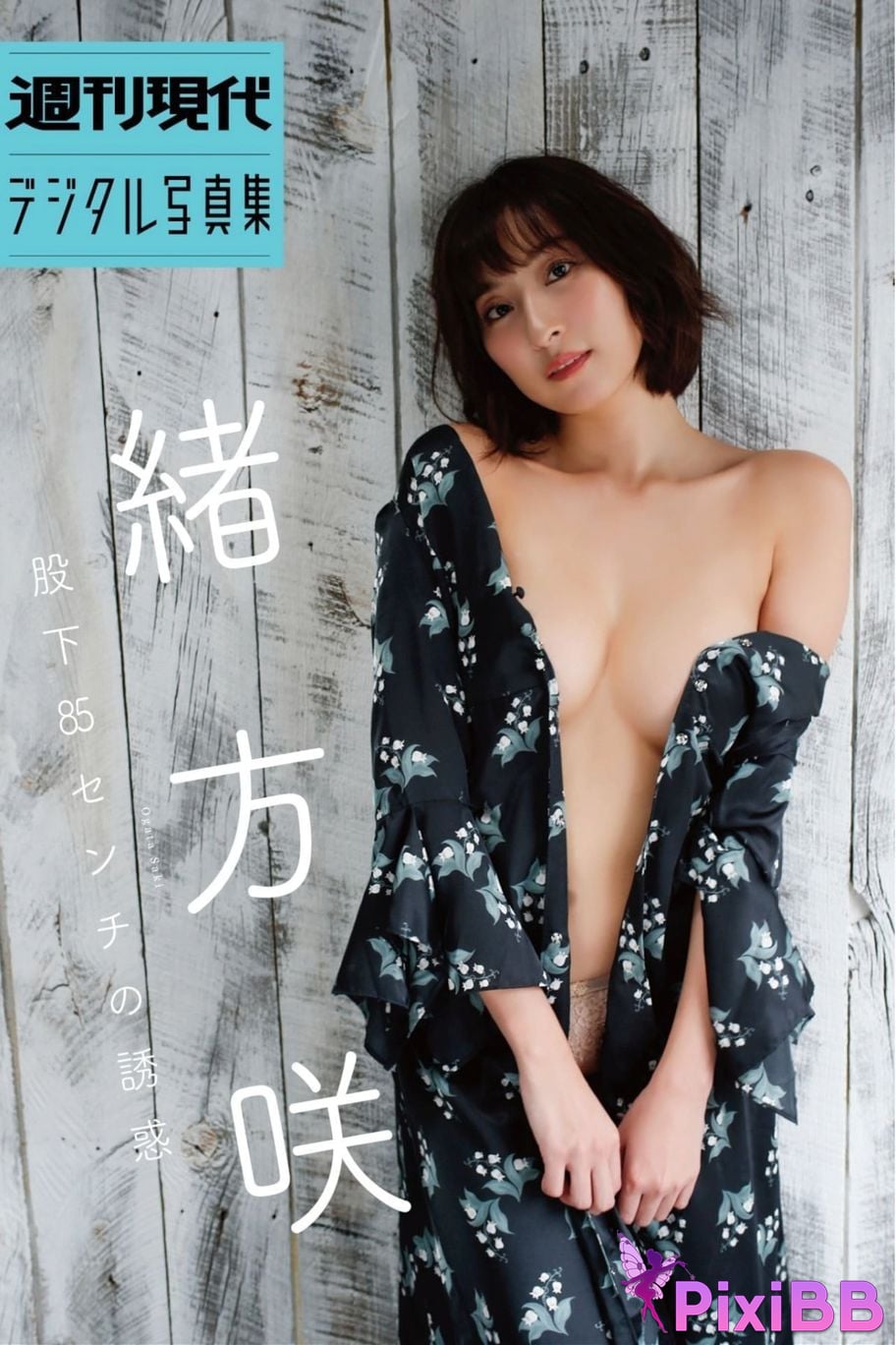 Japanese Idol Saki Ogata Weekly Gendai Digital Photo Book The Temptation of the Inseam 85cm PixiBB.COM 001 1