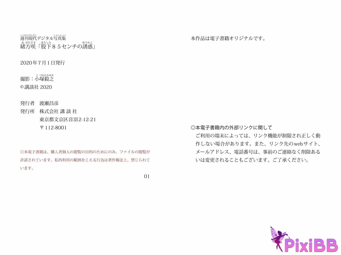 Japanese Idol Saki Ogata Weekly Gendai Digital Photo Book The Temptation of the Inseam 85cm PixiBB.COM 045 1