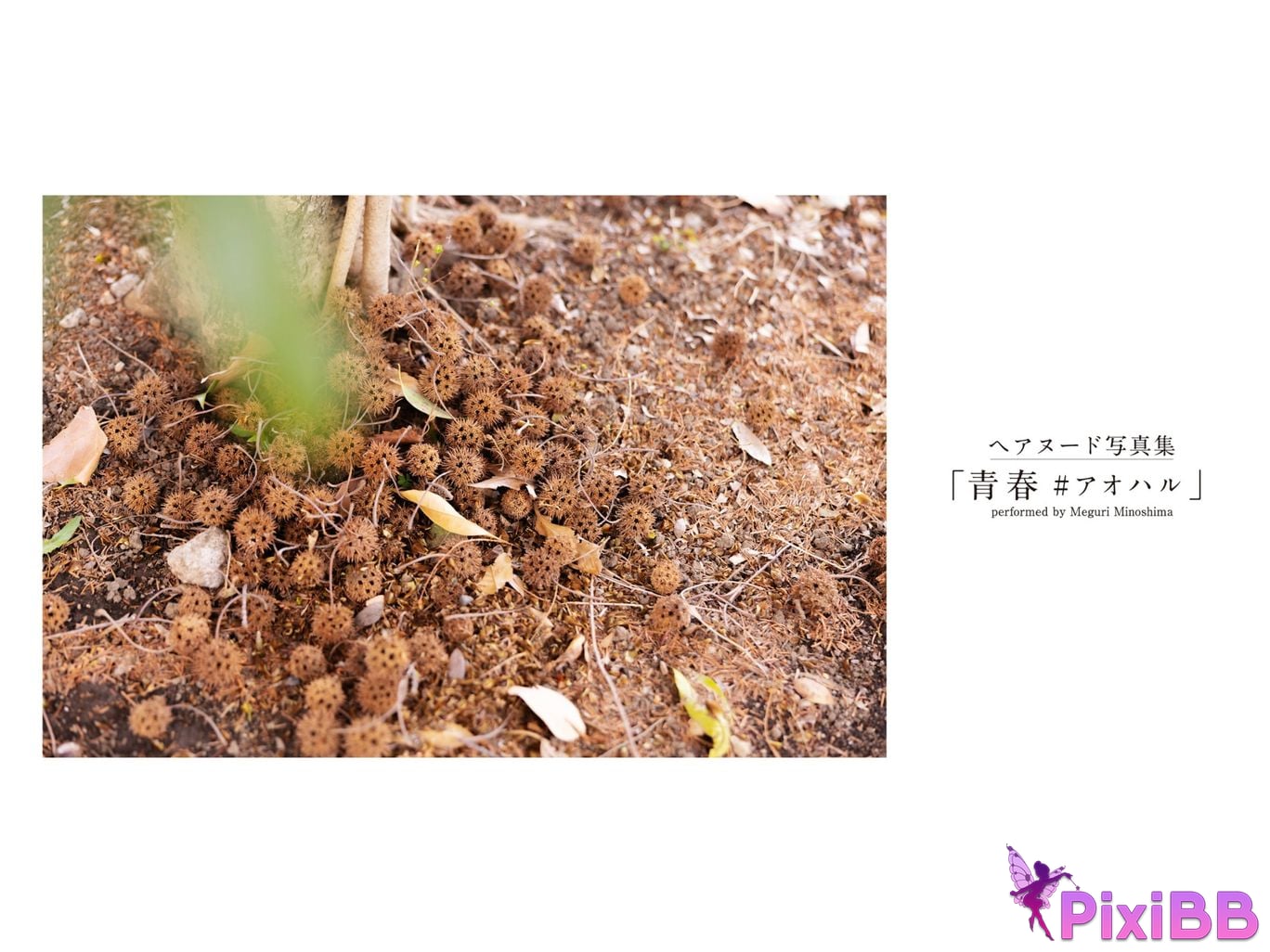 JP Meguri Minoshima PixiBB.COM 001 1