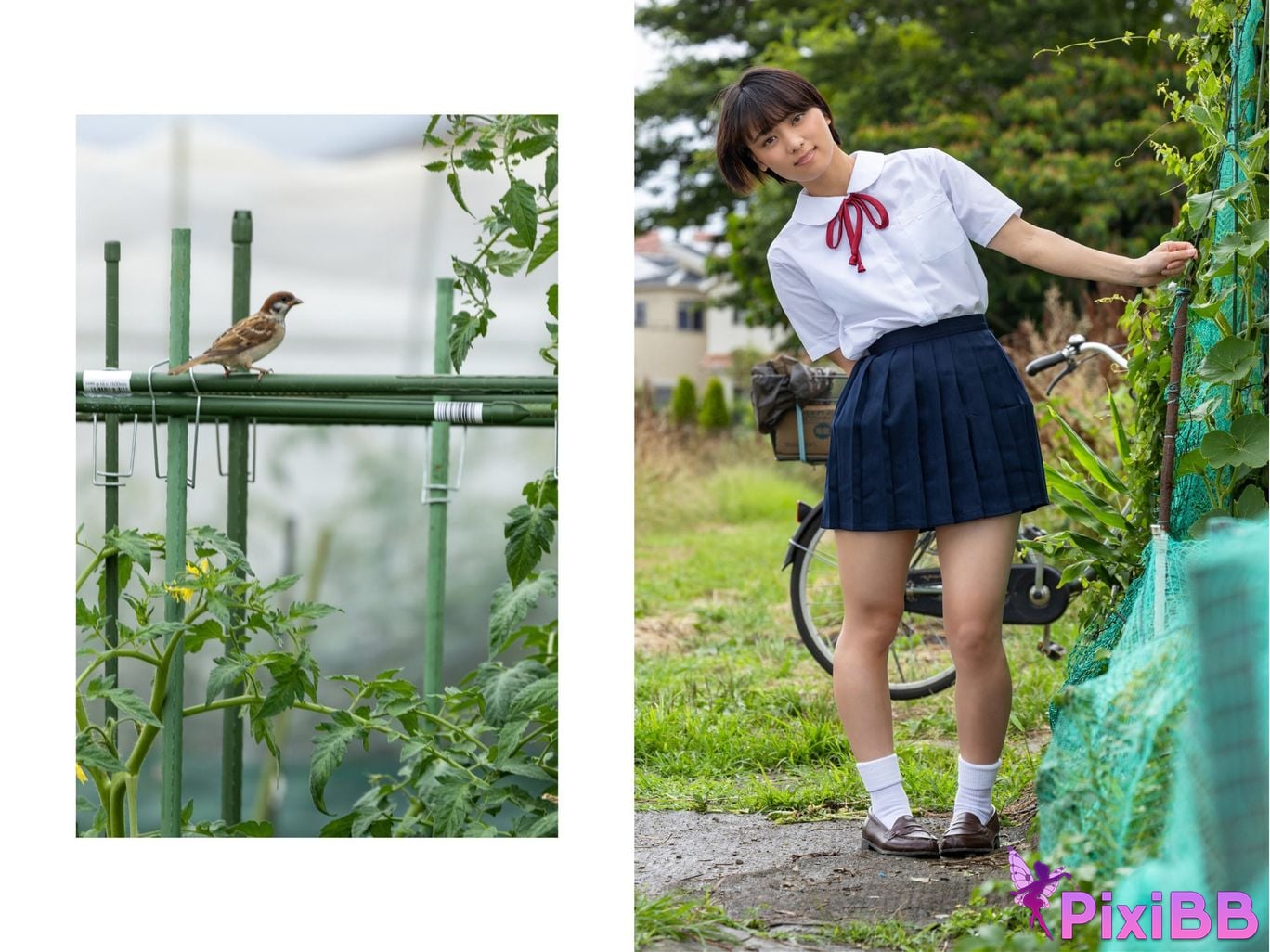 JP Monami Suzu PixiBB.COM 048 1