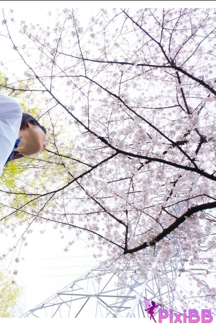 Japanese Idol Sumire Kuramoto Youth Aoharu youth PixiBB.COM 036 1