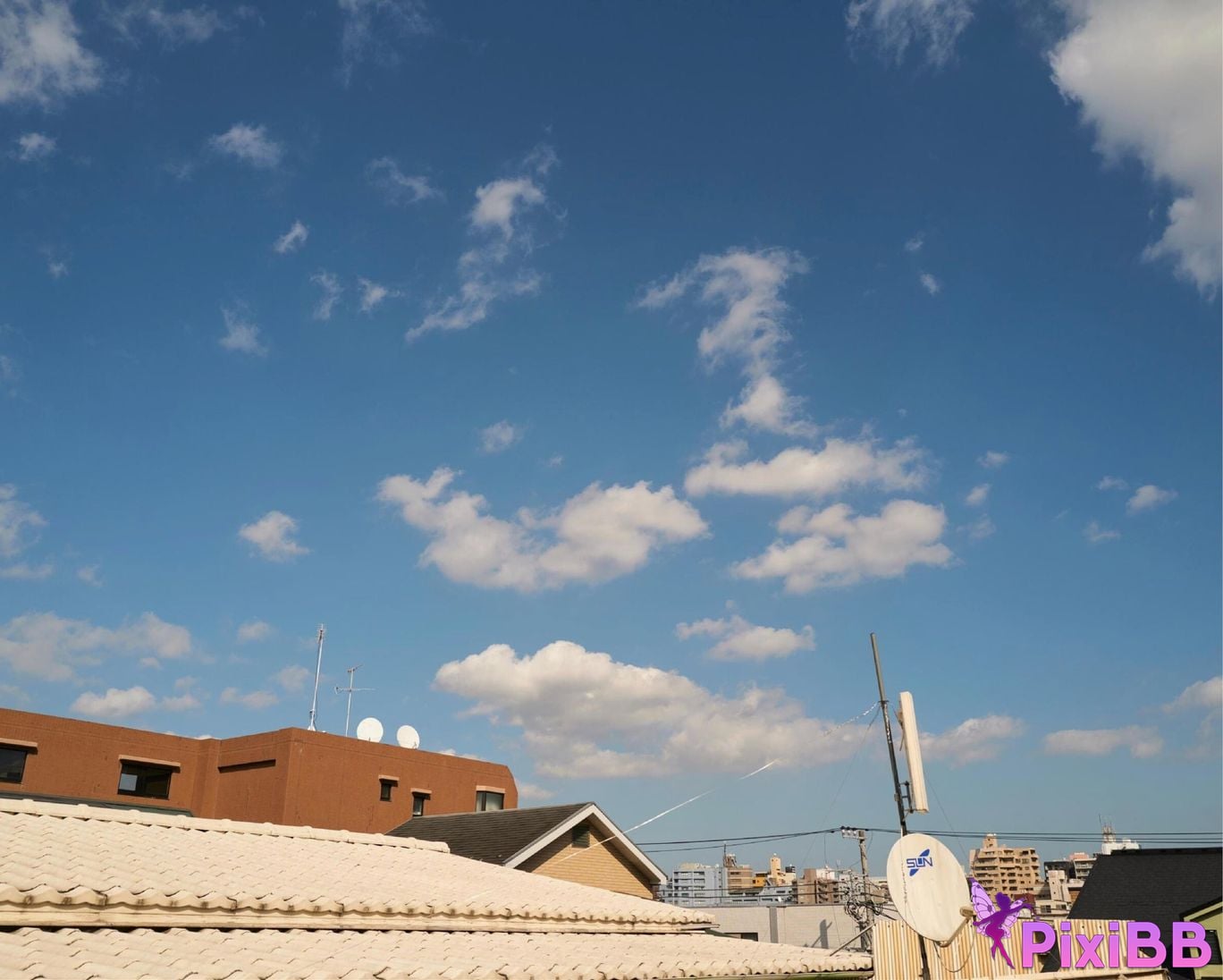 Japanese Idol Jill Natural Vol.1 2 PixiBB.COM 047