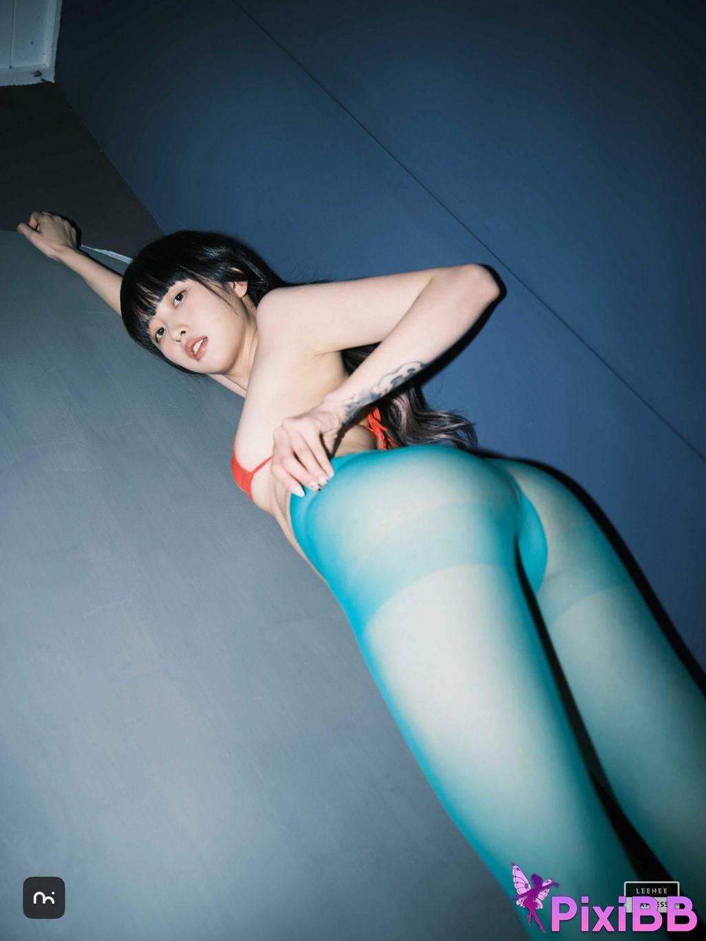 LE LEDG 195C GMS PixiBB.COM 033