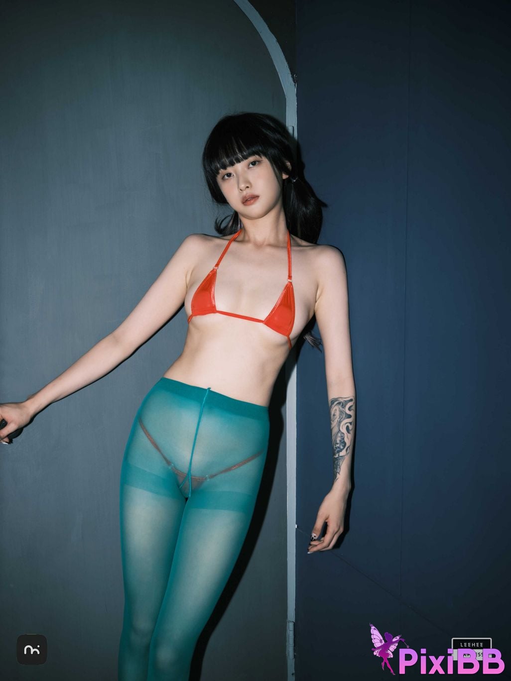 LE LEDG 195C GMS PixiBB.COM 039