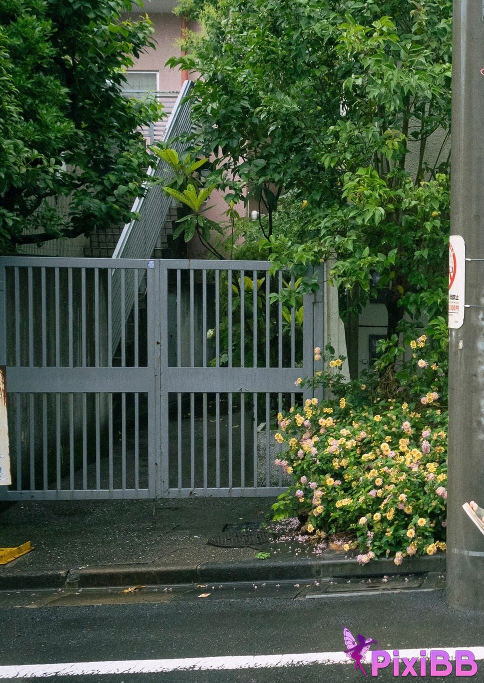 Japanese Idol Nagisa Aoyama Blue Line Spisan gravure photo book PixiBB.COM 008