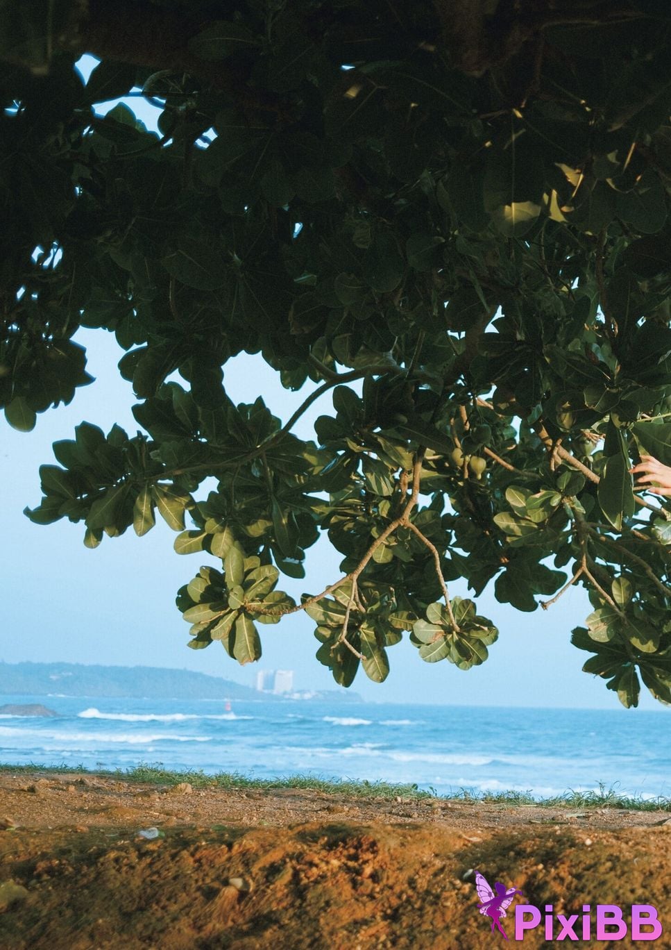 Japanese Idol Fuka Kumazawa 2nd photo collection something small and important PixiBB.COM 128