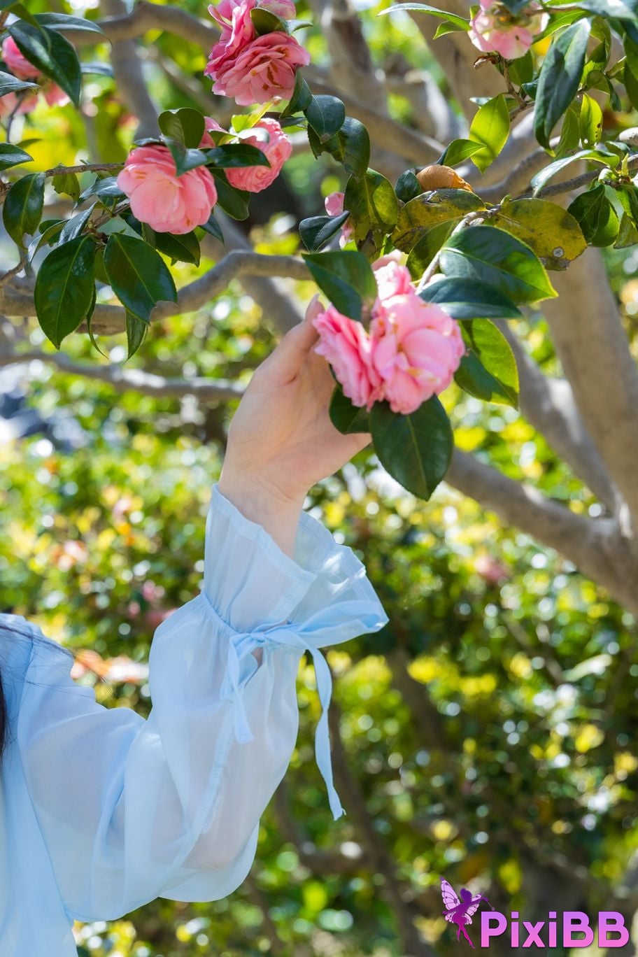 Japanese Idol Emika Shirakami Sakka photo collection Hundred flowers in abundance PixiBB.COM 070