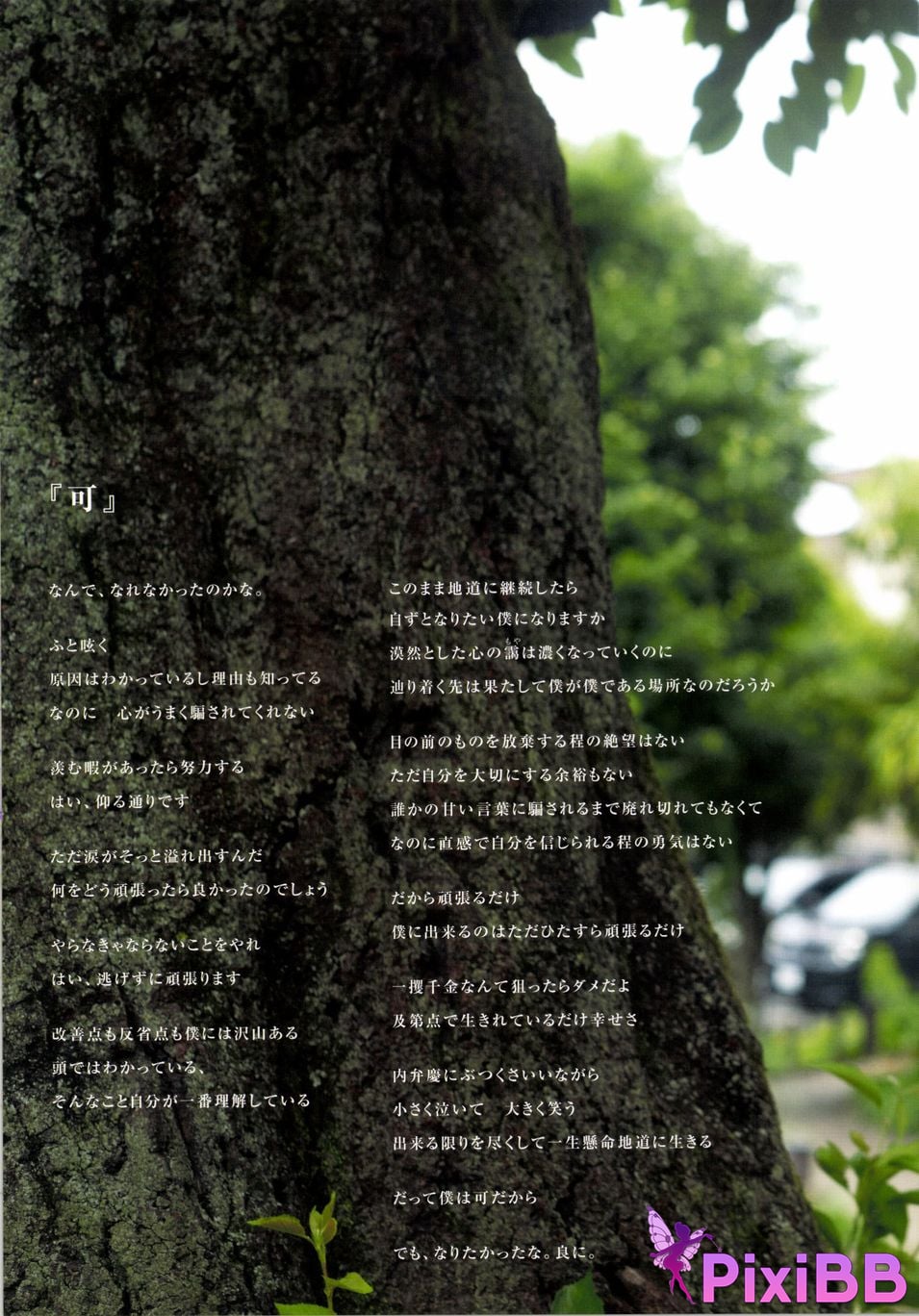 Japanese Idol Yumi Wakatsuki Until I wear out the shoes cant get used to PixiBB.COM 071