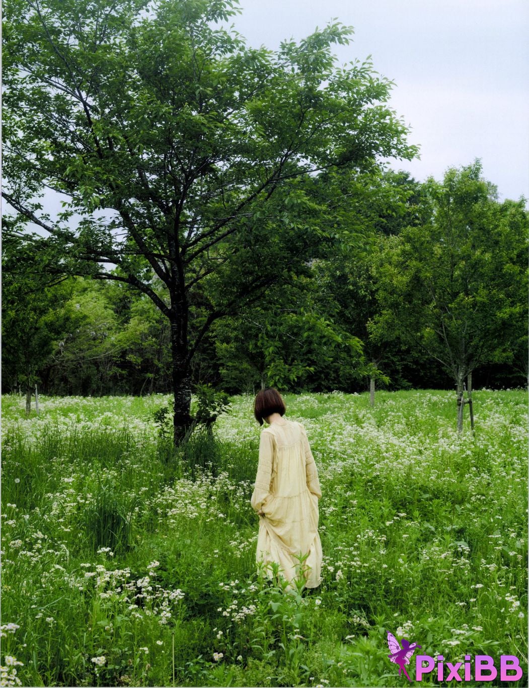 Japanese Idol Yumi Wakatsuki photo collection and chocolate PixiBB.COM 081