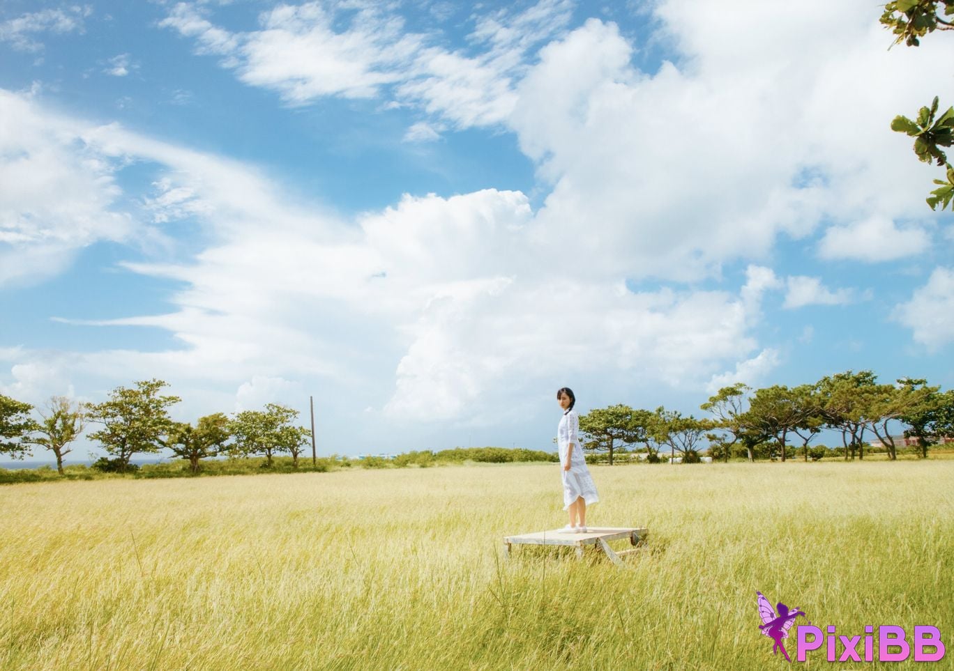 Japanese Idol Haruka Kaki He Xiyuanxiang Nogizaka 46 1st photo collection Brand new v4 PixiBB.COM 055