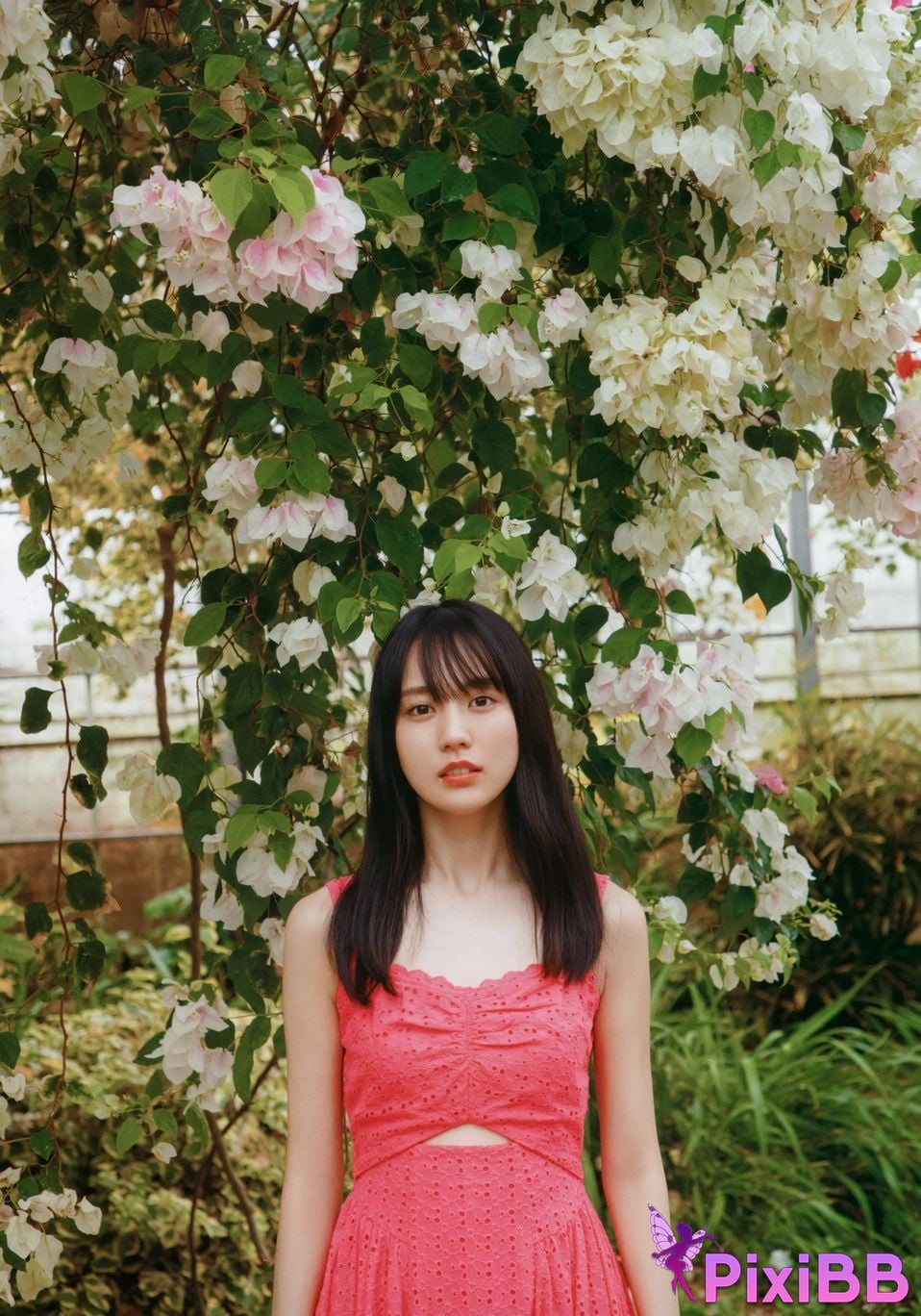 Japanese Idol Haruka Kaki He Xiyuanxiang Nogizaka 46 1st photo collection Brand new v4 PixiBB.COM 071