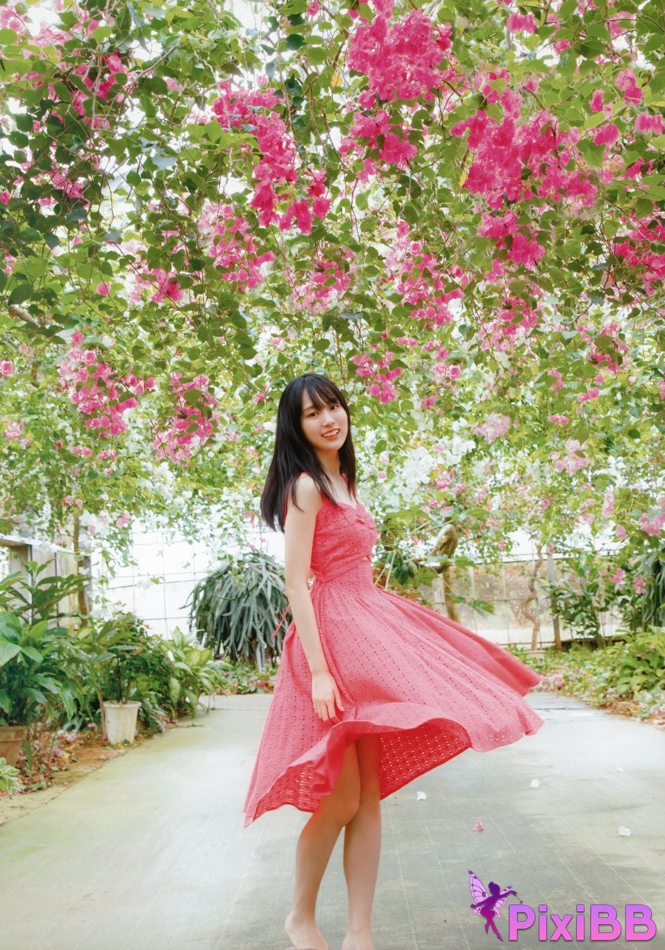 Japanese Idol Haruka Kaki He Xiyuanxiang Nogizaka 46 1st photo collection Brand new v4 PixiBB.COM 075