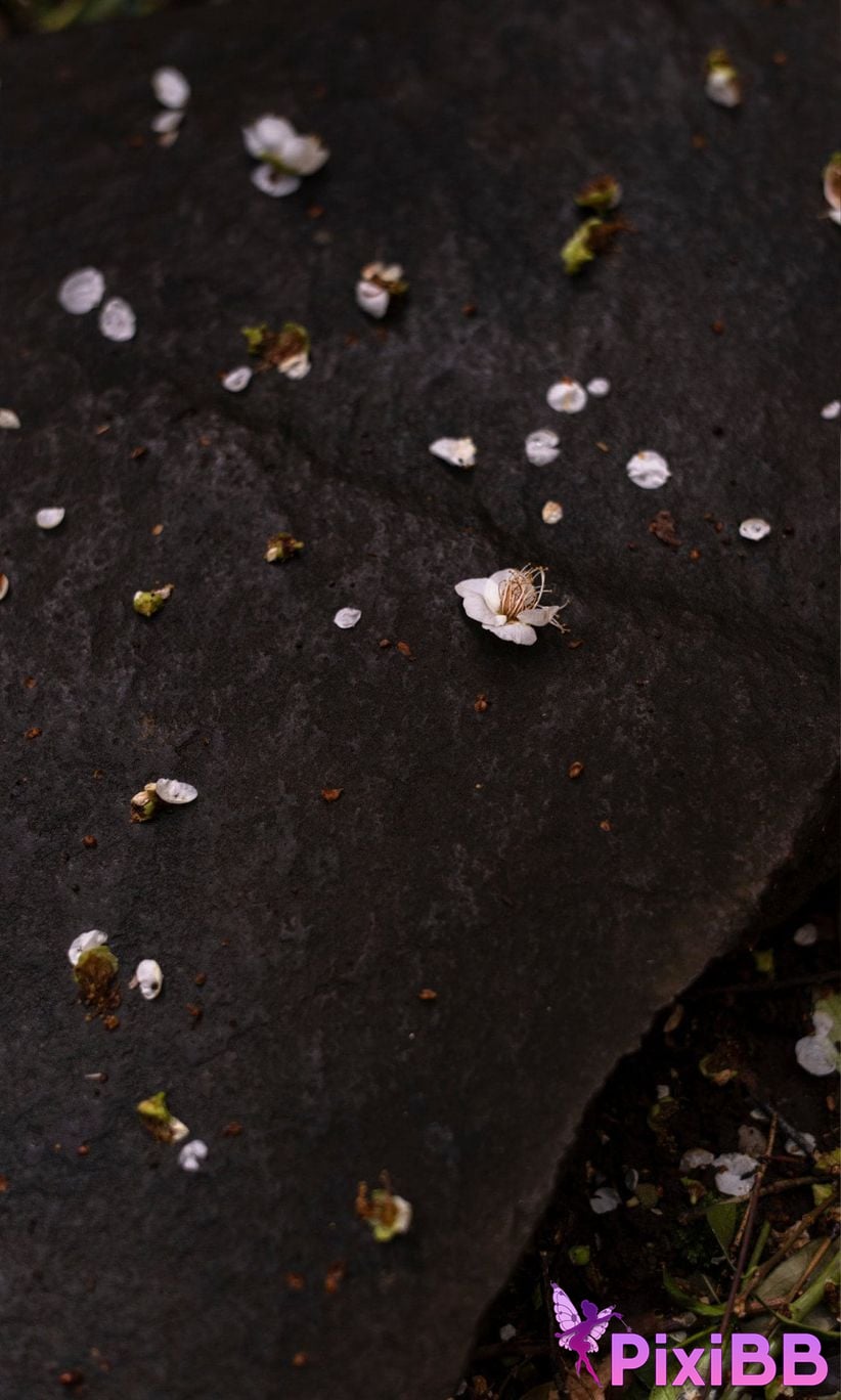 Japanese Idol Nobuko Party chan Digital only photo collection Hug me weekly play PHOTO BOOK PixiBB.COM 014