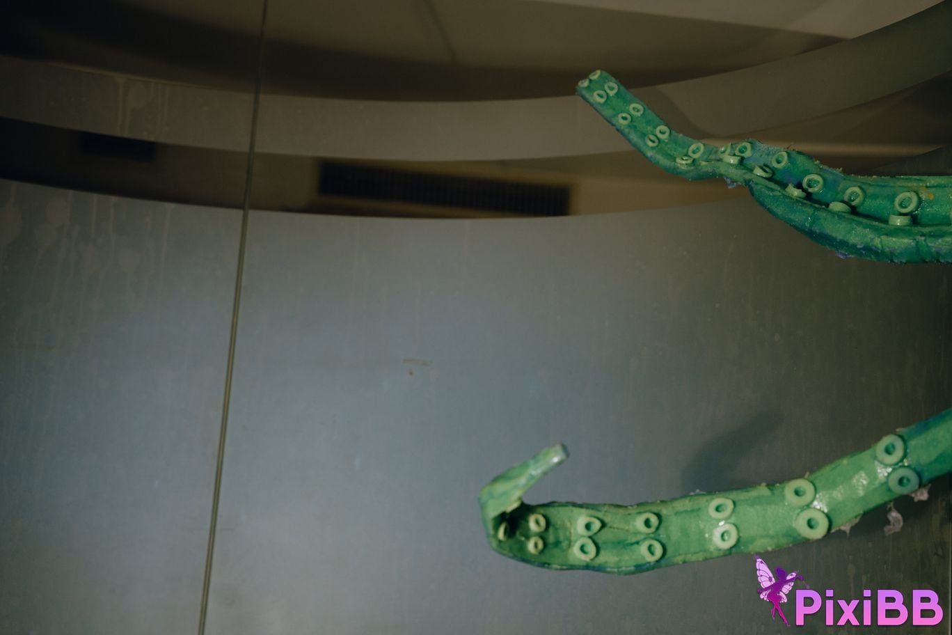 Cosplayer Autumn and Corgi tentacle PixiBB.COM 035