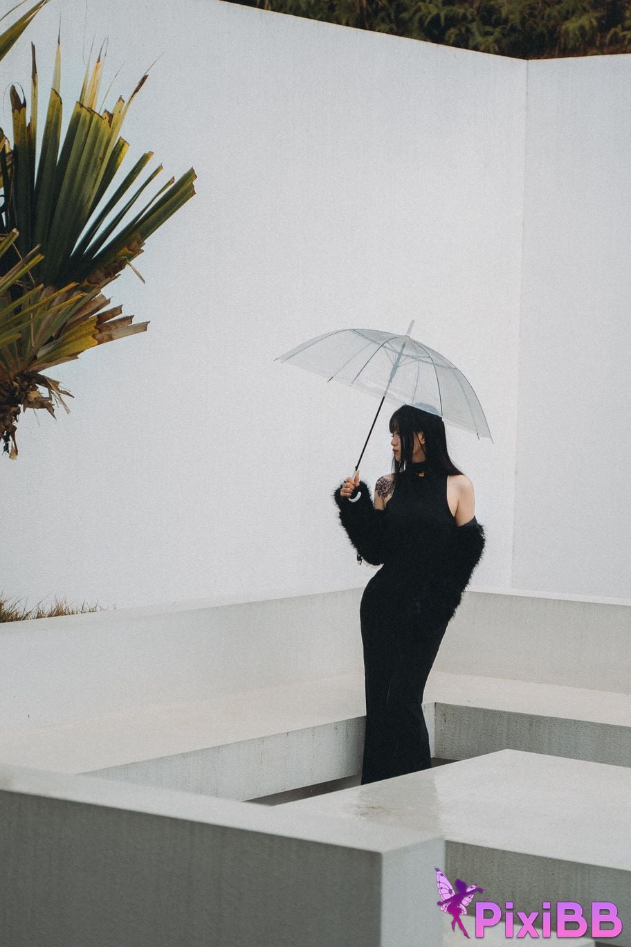 Coser PixiBB.COM 011