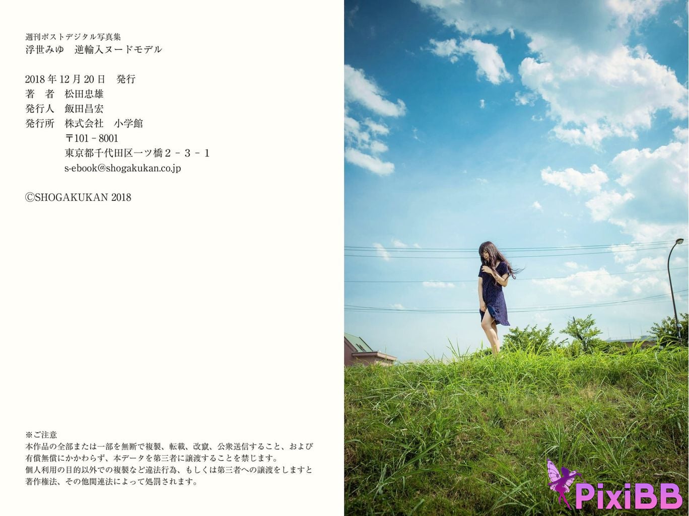 Japanese Idol Miyu Ukiyo Weekly Post Digital Photo Book Reimported nude model PixiBB.COM 032