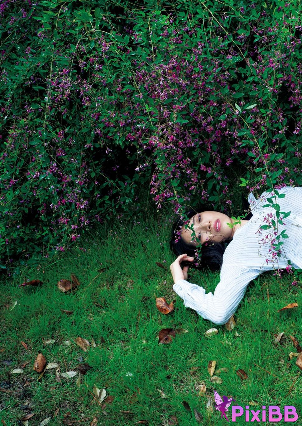 Japanese Idol Someya Yuka Some valleys are fragrant nude photo collection red album 2015 2025 PixiBB.COM 056