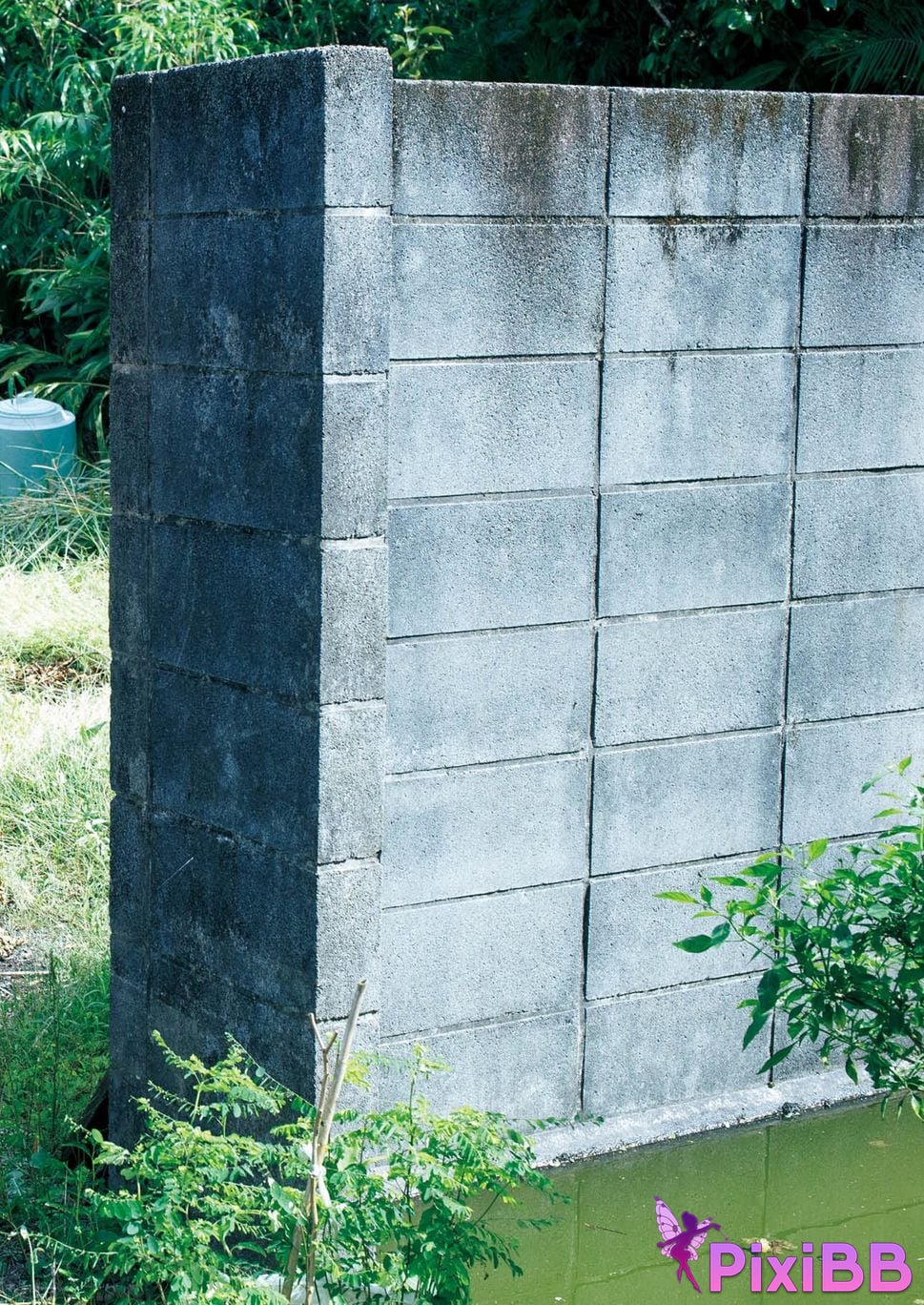 Japanese Idol Someya Yuka Some valleys are fragrant nude photo collection red album 2015 2025 PixiBB.COM 154