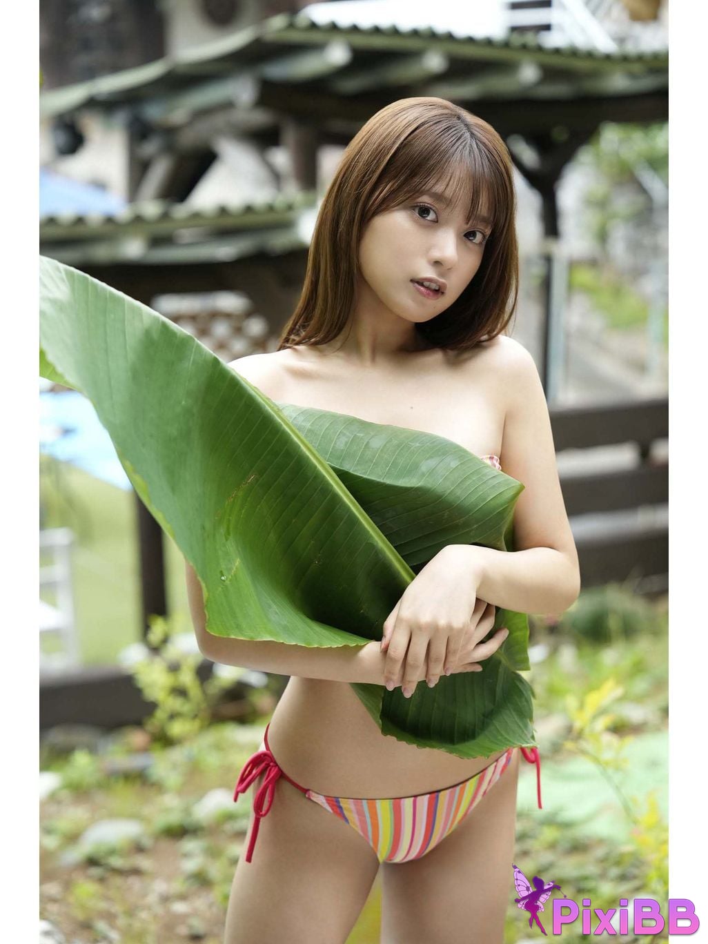 Japanese Idol Marupi digital photo book observation diary bulgra PixiBB.COM 023