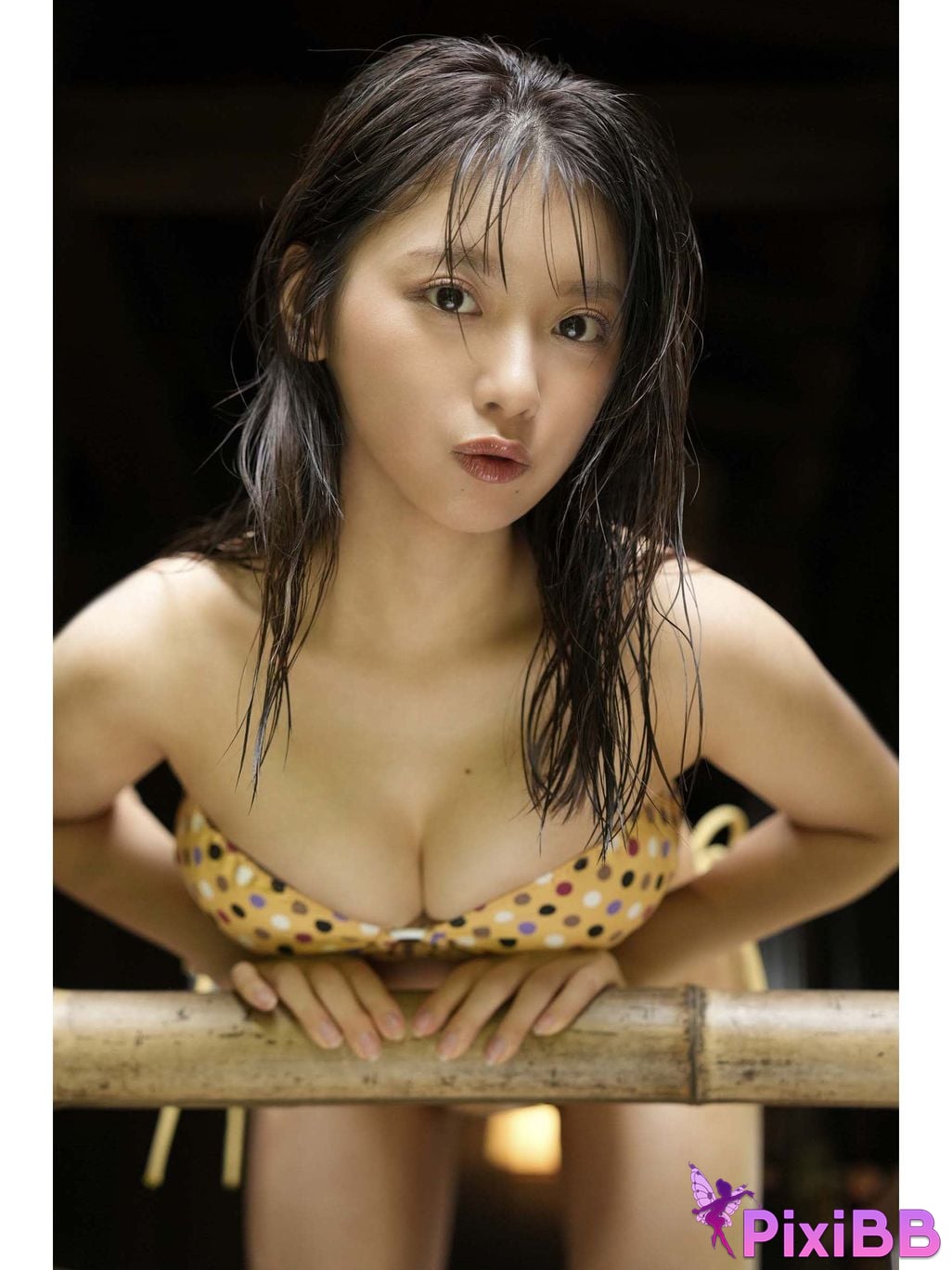 Japanese Idol Marupi digital photo book observation diary bulgra PixiBB.COM 029