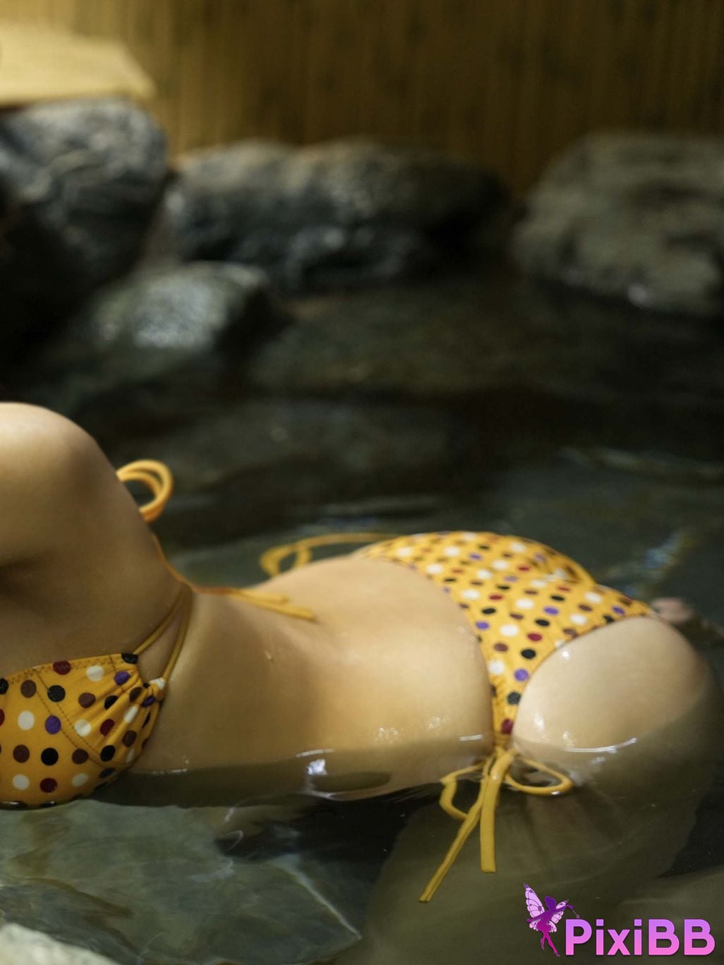 Japanese Idol Marupi digital photo book observation diary bulgra PixiBB.COM 032