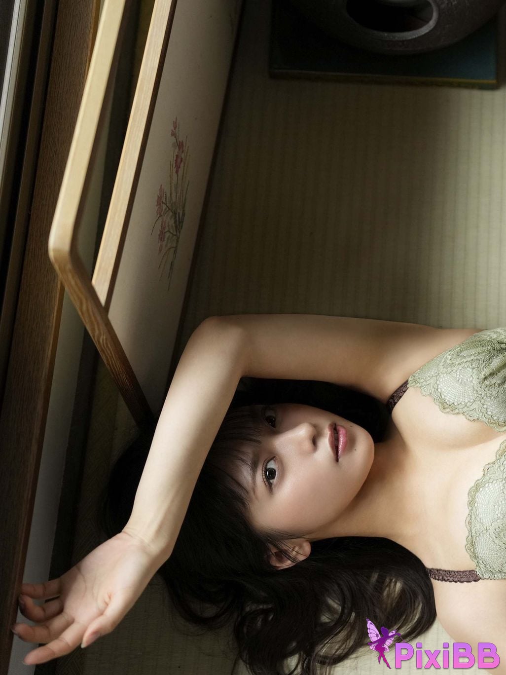 Japanese Idol Marupi digital photo book observation diary bulgra PixiBB.COM 040