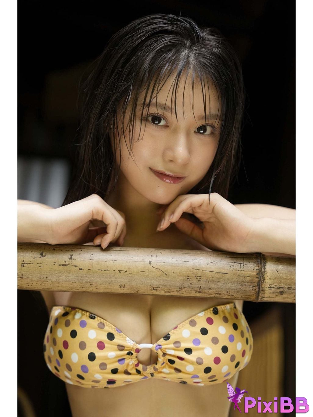 Japanese Idol Marupi digital photo book observation diary bulgra PixiBB.COM 043