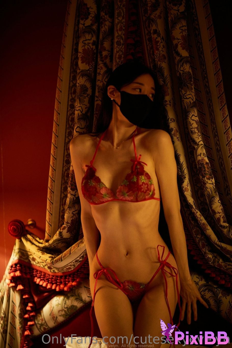 OF Evelyn VVVIP Leak No.3 PixiBB.COM 029