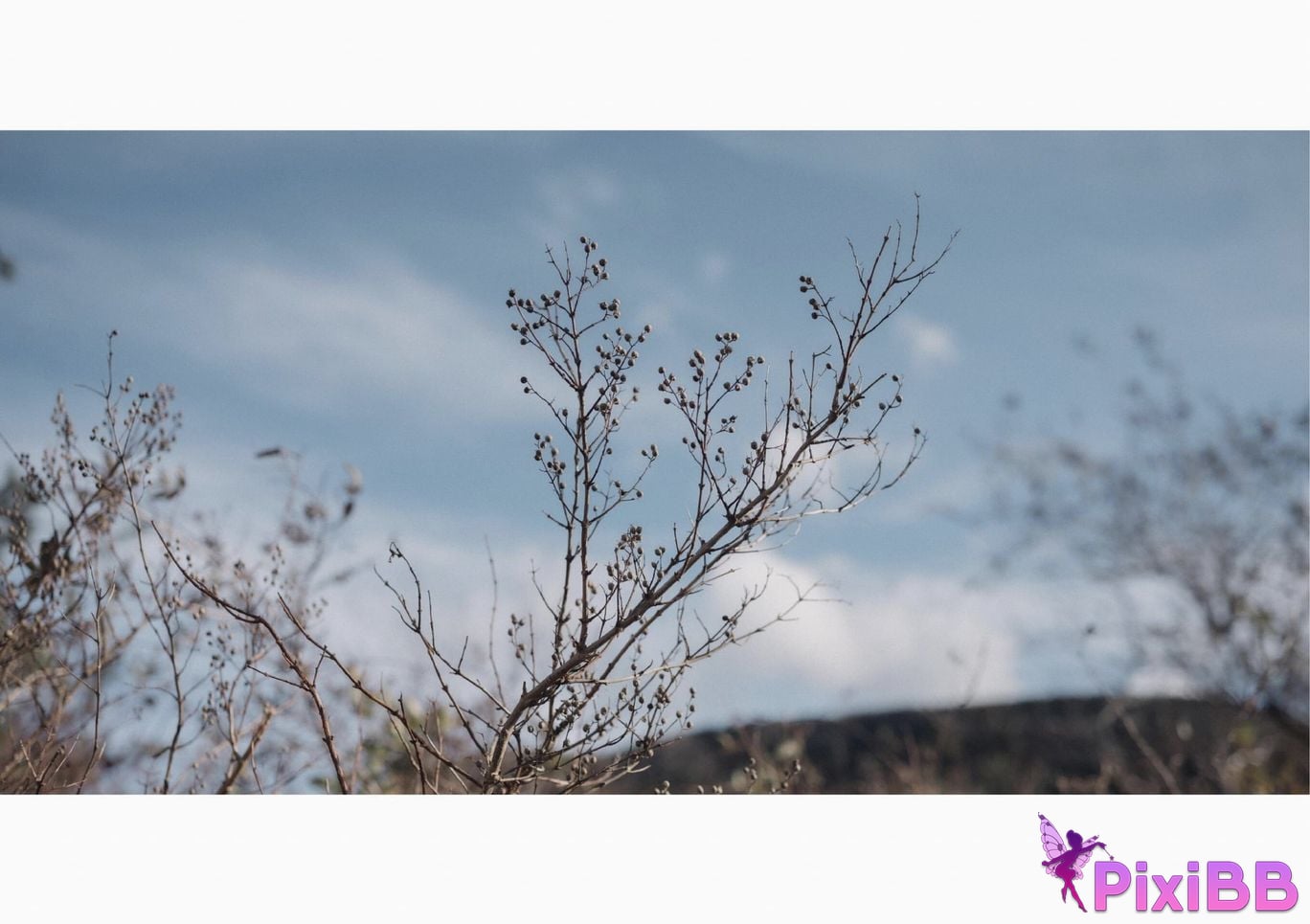 Japanese Idol Taiga Momo Hot spring gravure photo collection white skin princess Wunder Publishing House PixiBB.COM 086