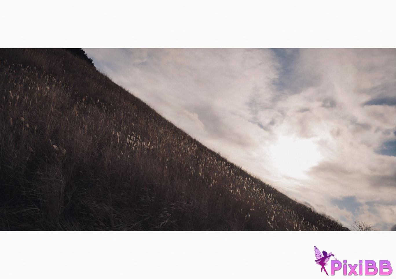 Japanese Idol Taiga Momo Hot spring gravure photo collection white skin princess Wunder Publishing House PixiBB.COM 101