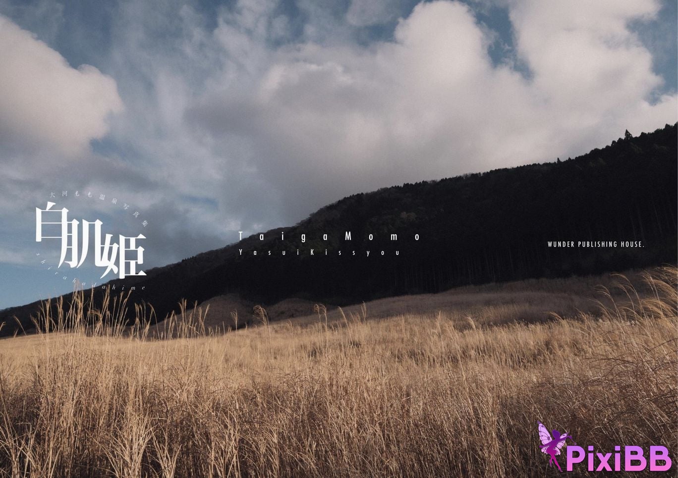 Japanese Idol Taiga Momo Hot spring gravure photo collection white skin princess Wunder Publishing House PixiBB.COM 103