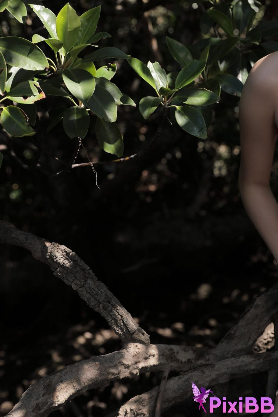 Japanese Idol Someya Yuka Some valleys are fragrant FRIDAY digital photo book Get into me All unreleased special Edition vol.1 PixiBB.COM 050