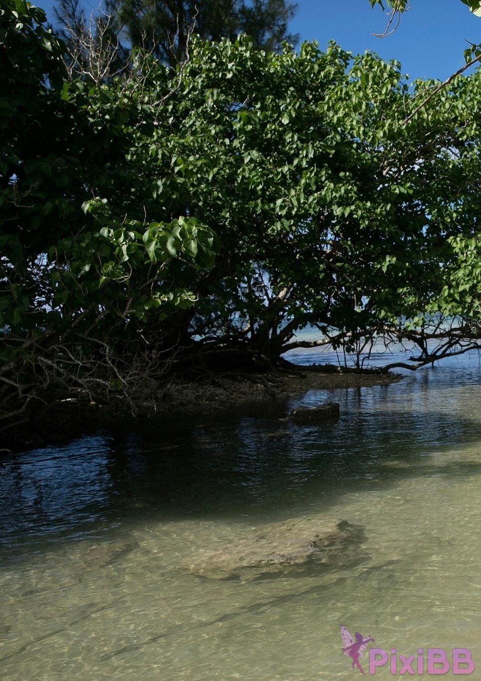 Japanese Idol Yuno Ohara Young Champion Digigra Yunos deep breath PixiBB.COM 047