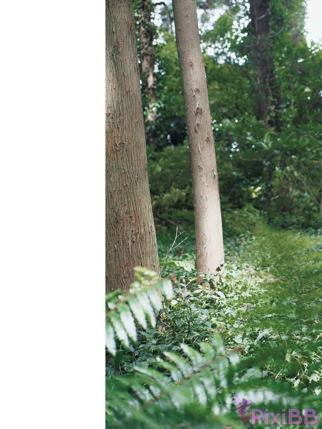 Japanese Idol Ayasa It oh Ito 2nd photo collection HONEY PixiBB.COM 083