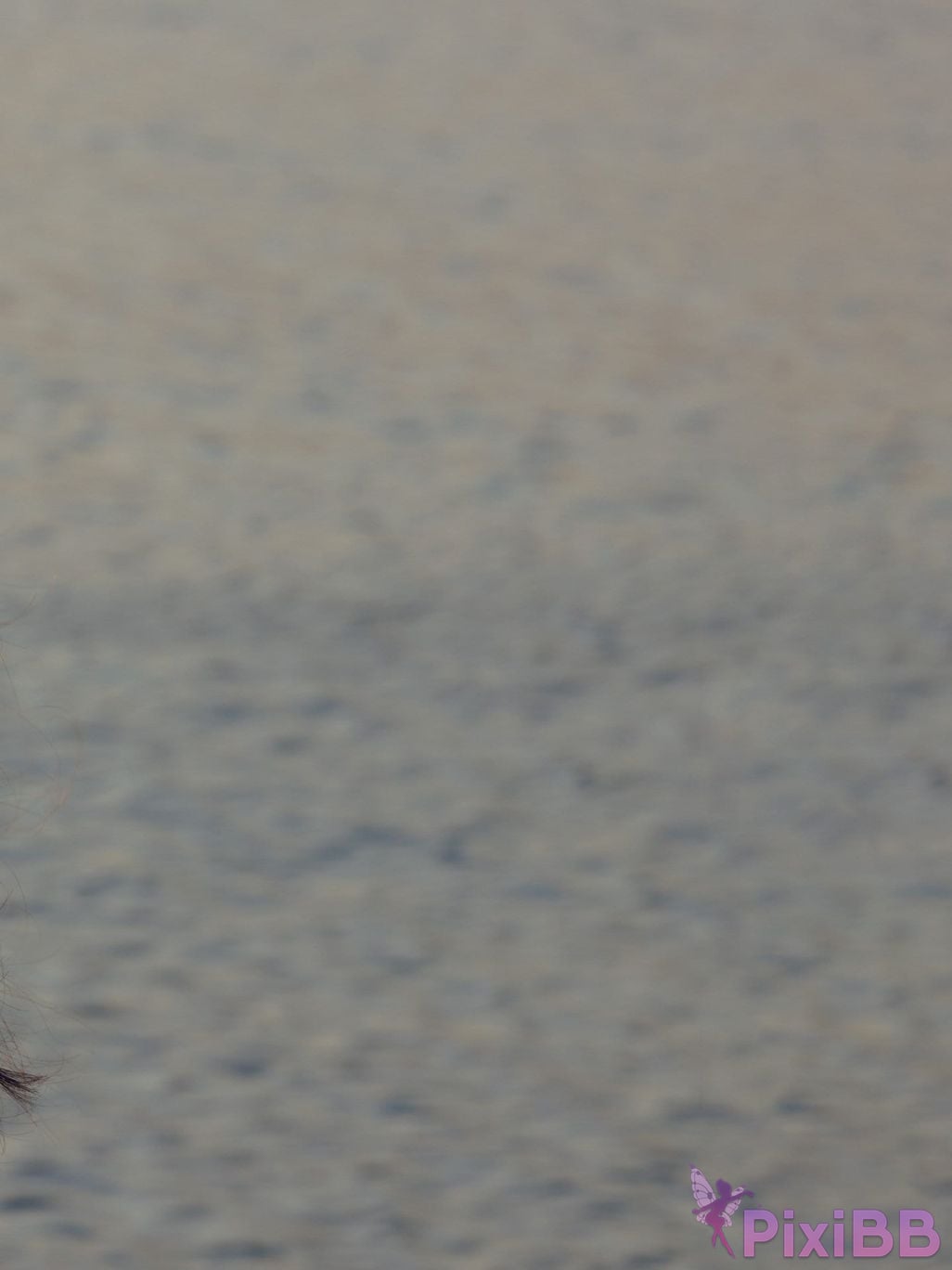 Japanese Idol Ayasa It oh Ito 2nd photo collection HONEY PixiBB.COM 122