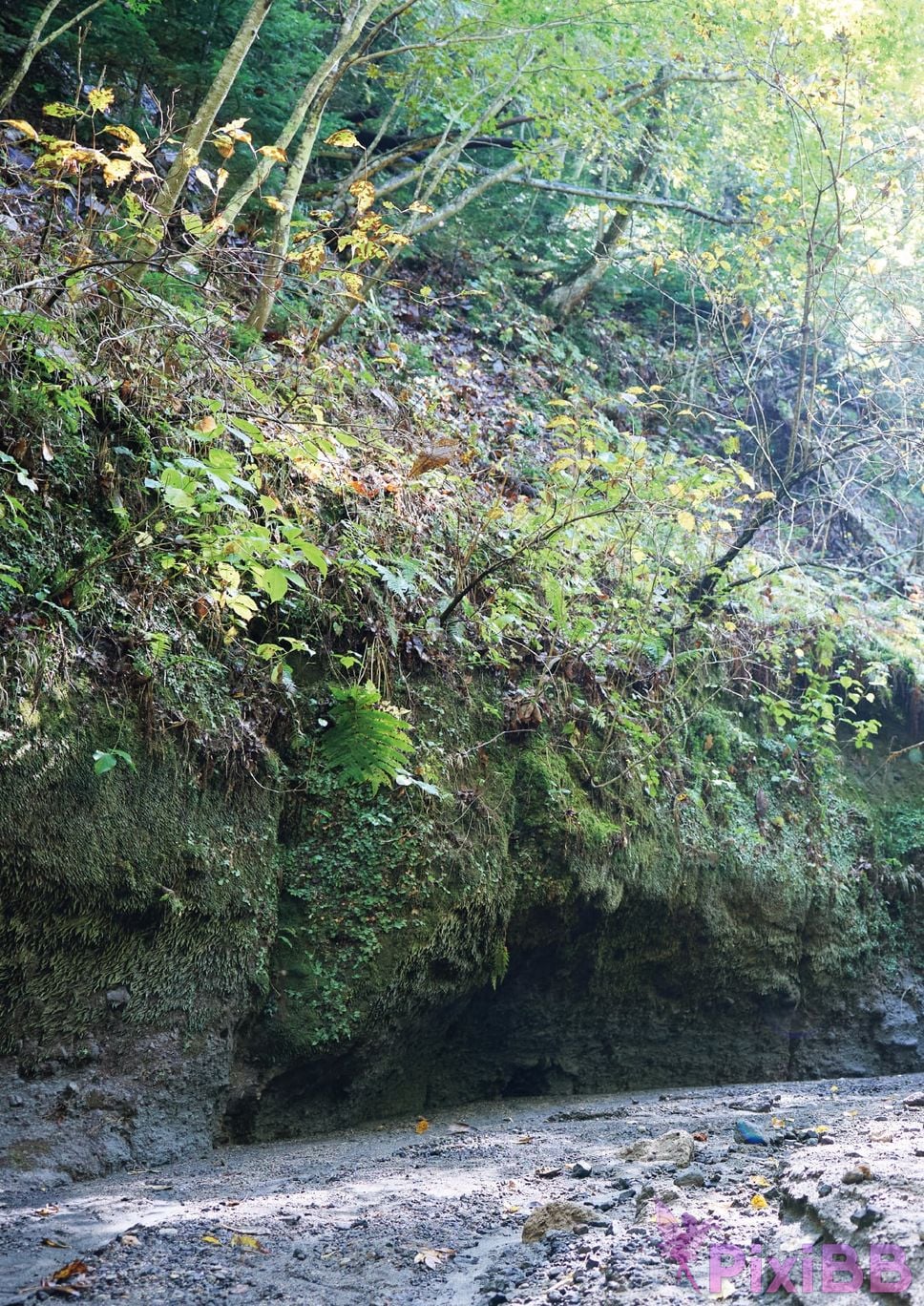 Japanese Idol Karen Kaede Electronic version limited edition with other cuts photo collection 2 nights and 3 days trip to Hokkaido PixiBB.COM 033