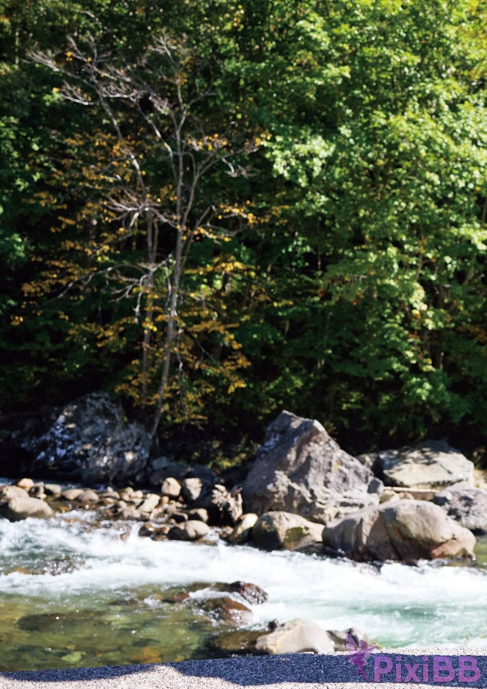 Japanese Idol Karen Kaede Electronic version limited edition with other cuts photo collection 2 nights and 3 days trip to Hokkaido PixiBB.COM 042