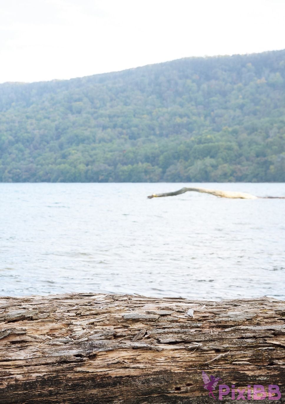 Japanese Idol Karen Kaede Electronic version limited edition with other cuts photo collection 2 nights and 3 days trip to Hokkaido PixiBB.COM 078