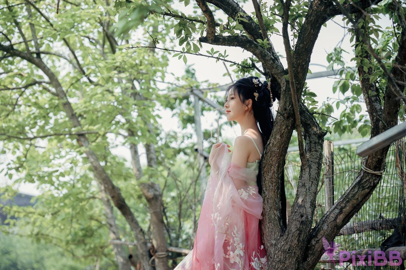 Coser Nnian PixiBB.COM 019