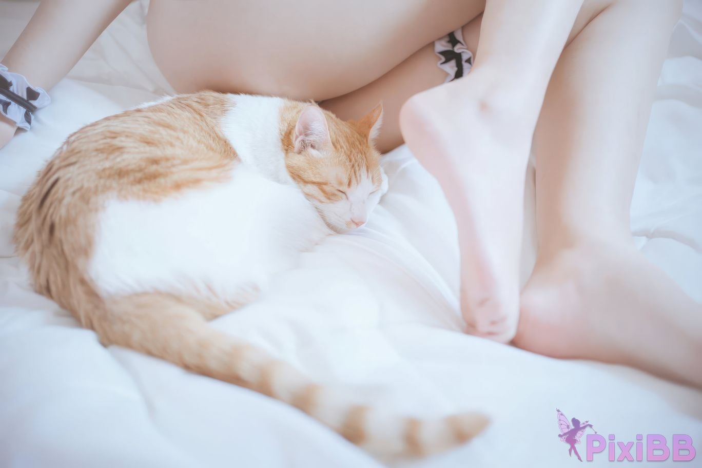 Cosplayer Ah Ban is very happy today cow bikini PixiBB.COM 015