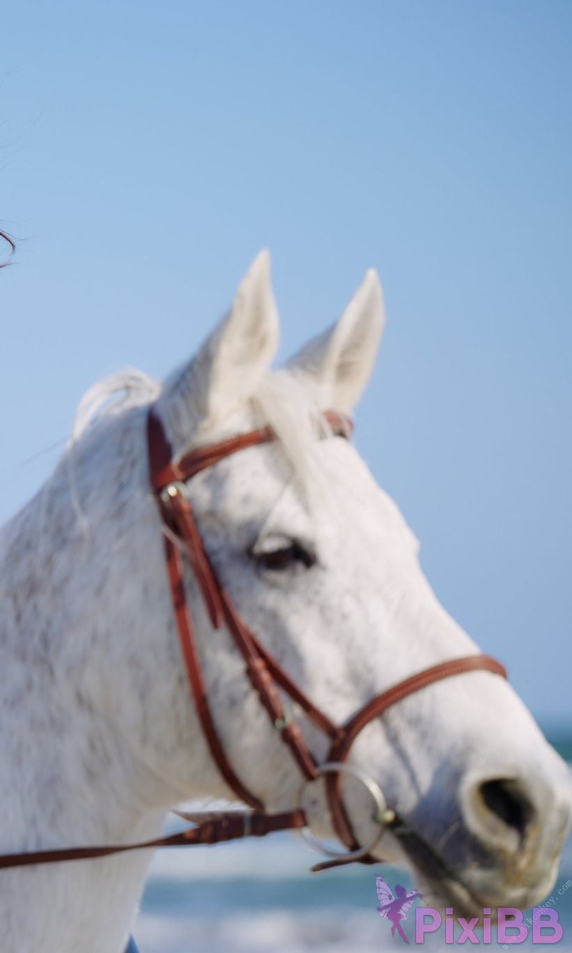 JP Risa Yukihira PHOTO BOOK PixiBB.COM 041