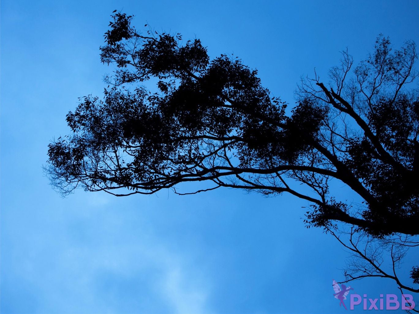 Japanese Idol Mao Watanabe Shen Ye Lan Prestige Photobook Best Premium Exclusive Cut Vol.01 PixiBB.COM 019