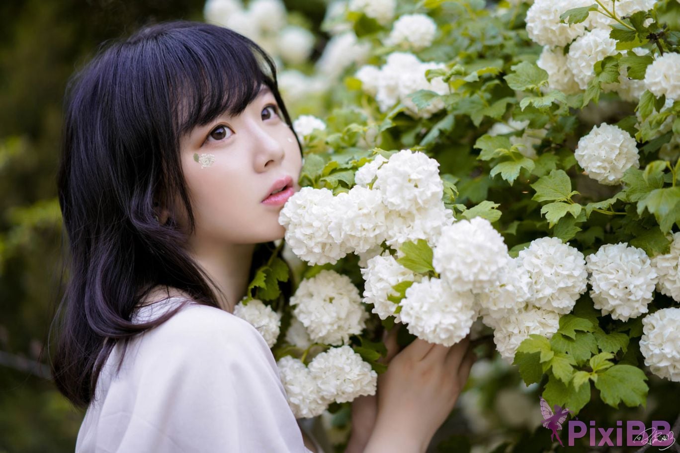 Cosplayer Pipi Nai is so cute hydrangeas PixiBB.COM 005