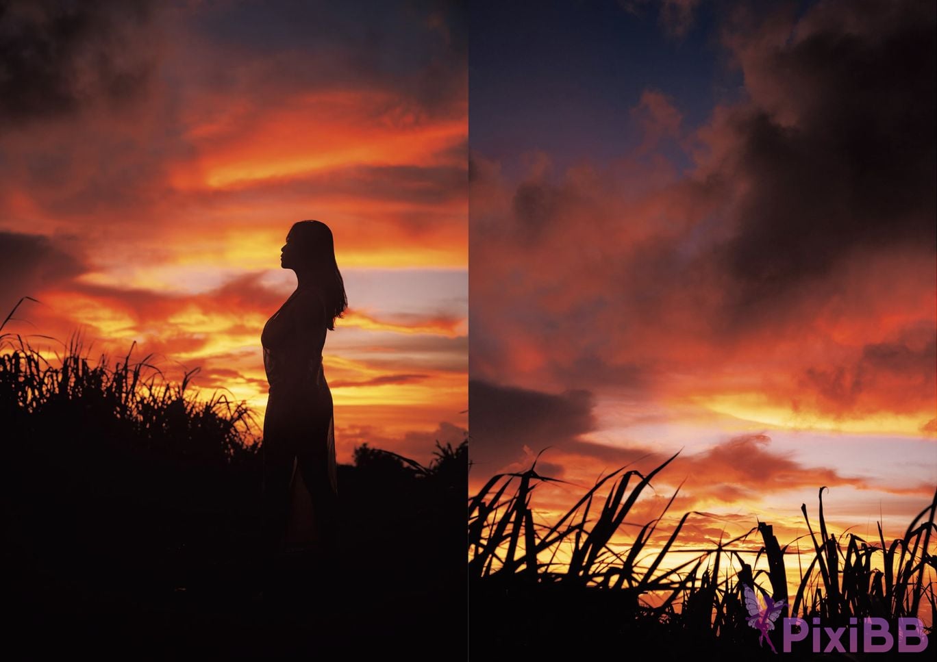 Japanese Idol Mai Nishida photo collection Re PixiBB.COM 035