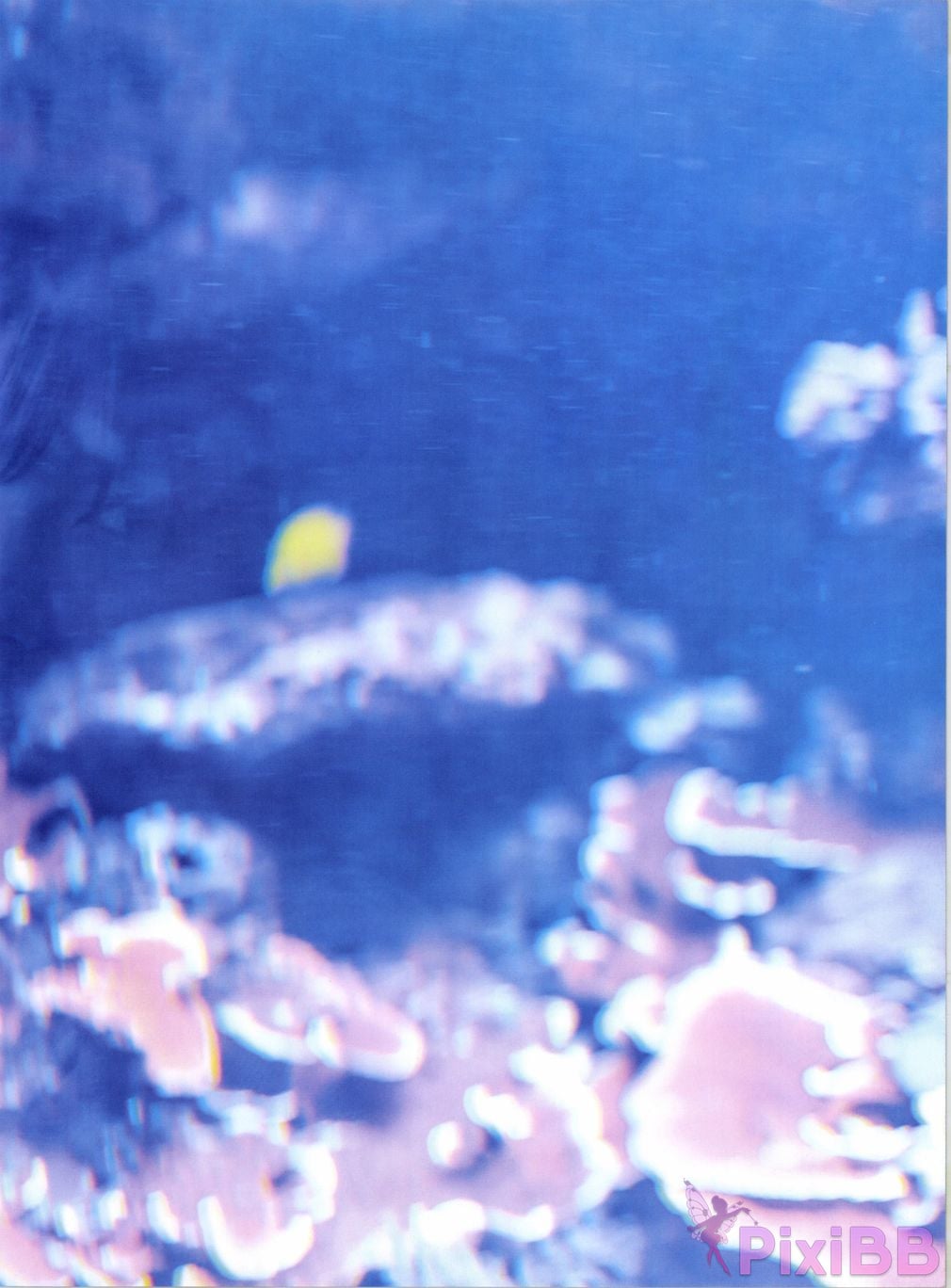 Japanese Idol Hina Kawata He Tian Yang Cai 2nd photo collection take off PixiBB.COM 073