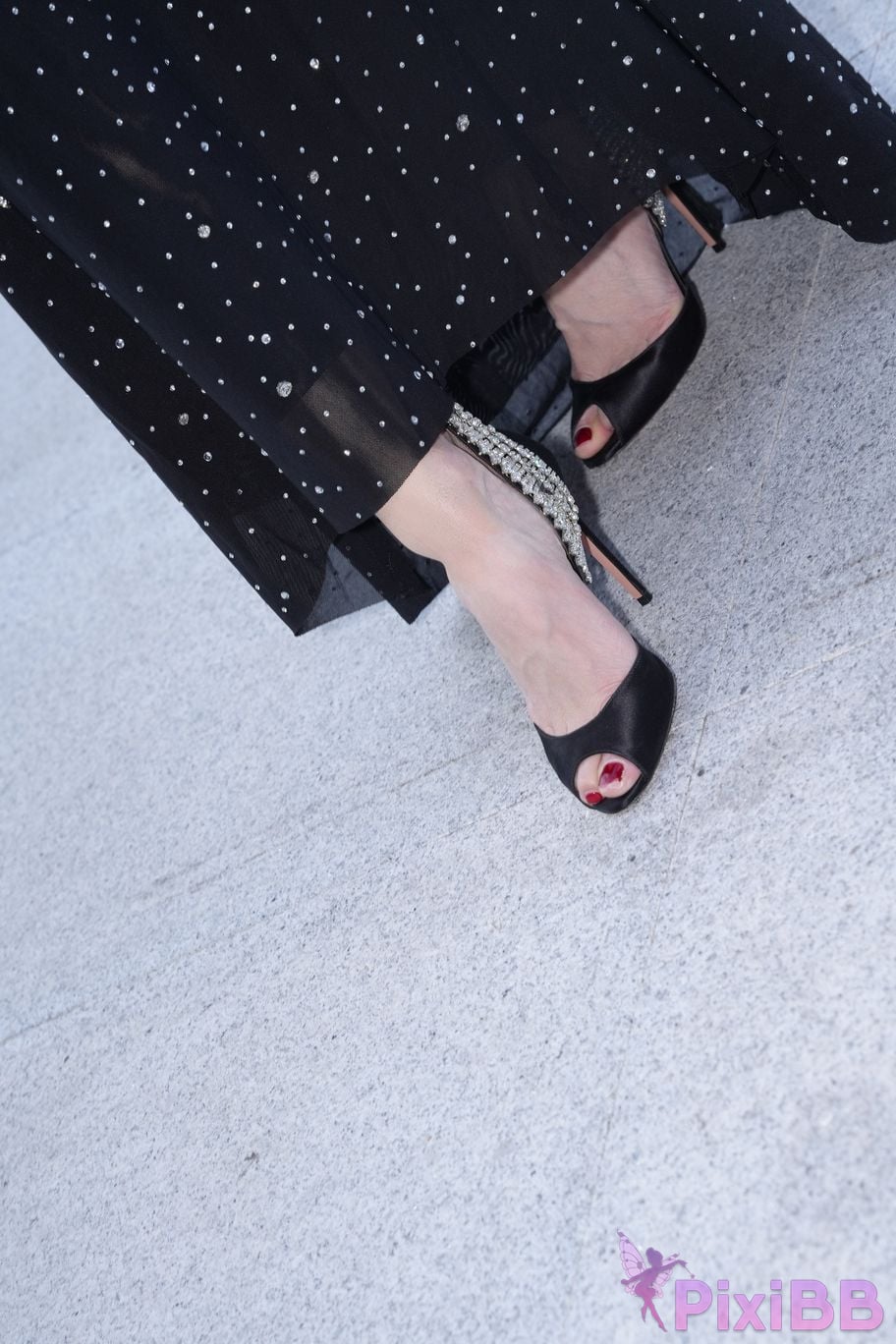 Featured Street Photography Works No.5385 Little Meow Dabao PixiBB.COM 081