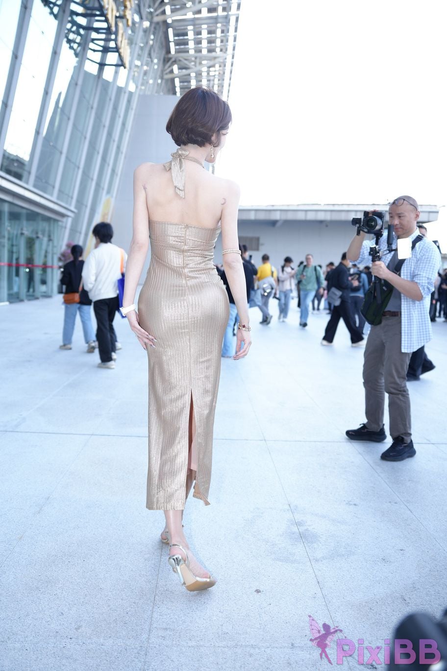 Featured Street Photography Works No.5385 Little Meow Dabao PixiBB.COM 097