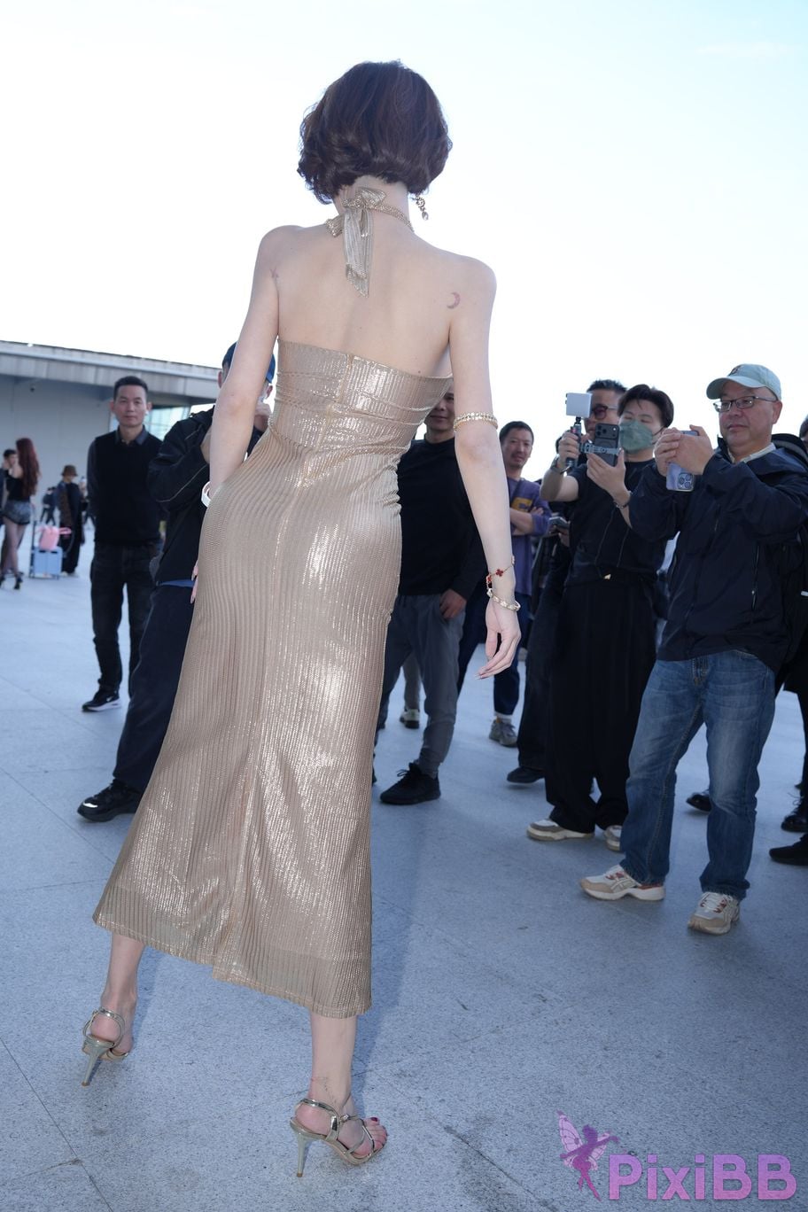 Featured Street Photography Works No.5385 Little Meow Dabao PixiBB.COM 101