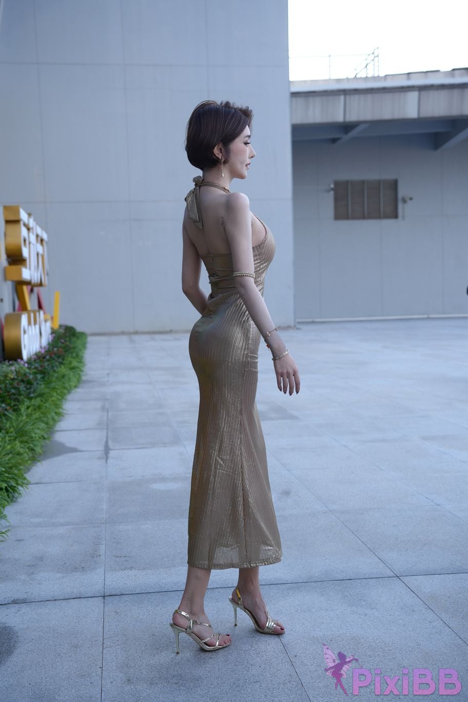 Featured Street Photography Works No.5385 Little Meow Dabao PixiBB.COM 103